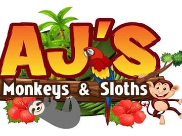 Sloth and Monkey Encounter with City Tour in West End, Honduras
