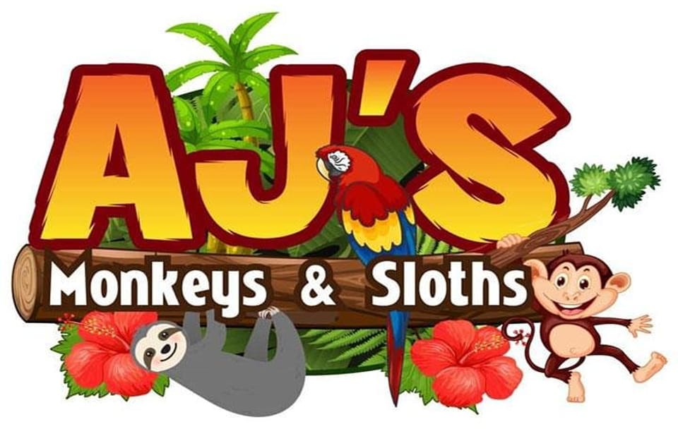 Sloth and Monkey Encounter with City Tour in West End, Honduras