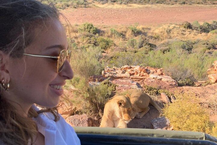 6 Days Garden Route Experience First Splendor & wonders of region