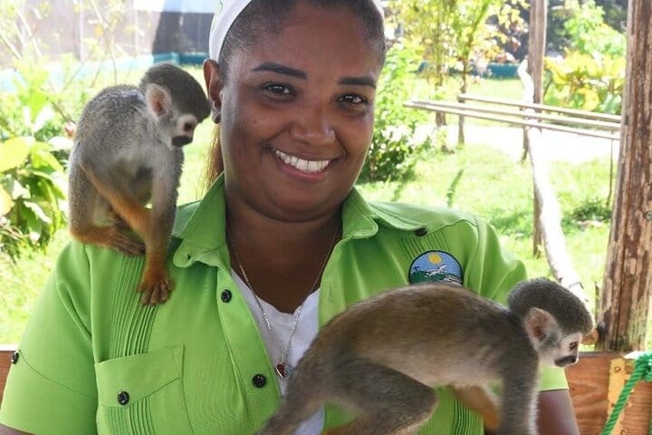Monkey tour from Amber cove Y Taino bay Puerto Plata