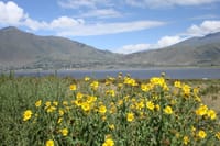 Taf&iacute; del Valle