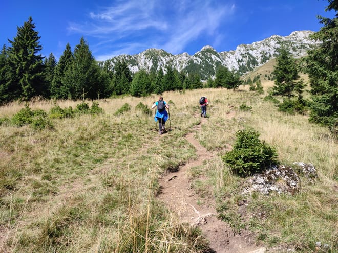 1 day hike to Piatra Craiului's highest peak (2238 m) 6