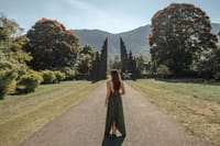 North Bali Scenic Tour with All-Inclusive & Private Guide Tour 5