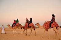Camel Ride