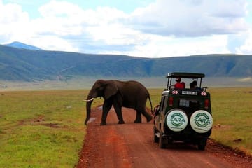 Elephant Special Serengeti & Ngorongoro Crater 5 Days / 4 Nights