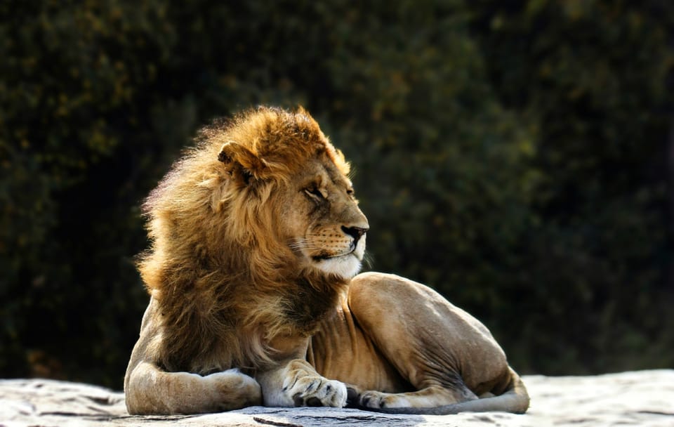 2-Day Safari Tour in Tarangire and Ngorongoro Crater, Arusha
