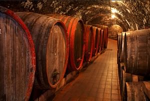 DayTour to Bran “Dracula’s” Castle + Peles Castle + Wine tasting at Azuga cellar