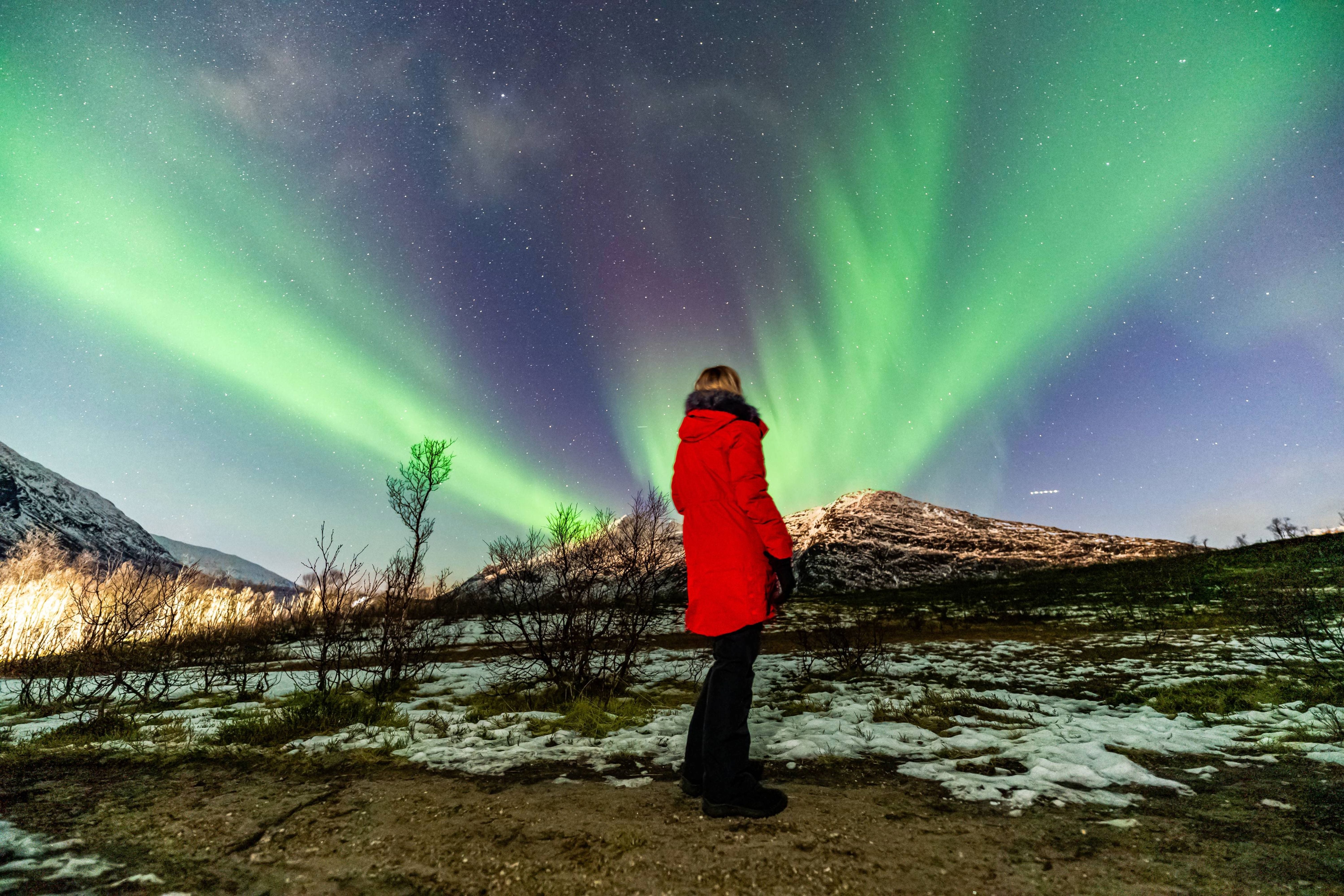 Traveler in a red winter jacket standing on snowy ground looking directly up at an explosive green and purple Northern Lights corona near Tr