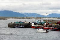Deep sea angling from Cleggan. Galway. Guided.  8