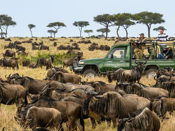 3 Days Masai Mara Group Joining Safari