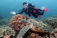 Diving And Snorkeling To Ras Mohamed And White Island By VIP Boat 1