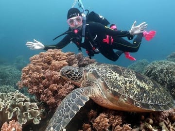 Diving and Snorkeling Tour at Ras Mohamed National Park