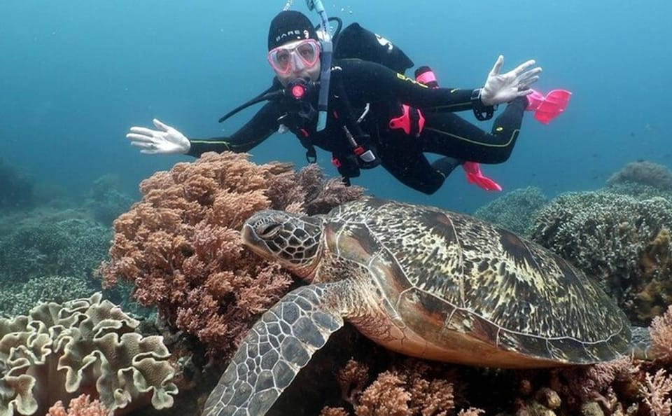 Diving and Snorkeling Tour at Ras Mohamed National Park
