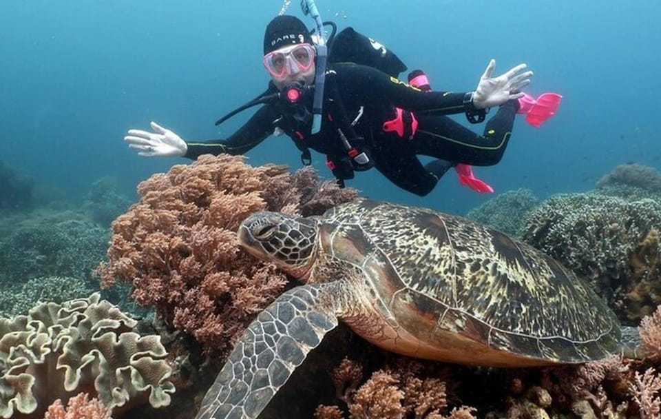Diving and Snorkeling Tour at Ras Mohamed National Park