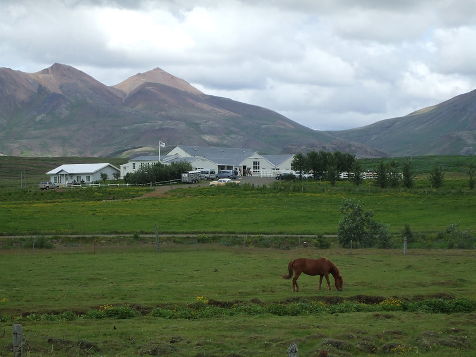 Laxnes Private Tour — Laxnes
