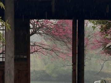 Chengdu Mahjong Experience Multilingual Guide