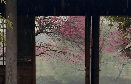 Half-Day Guided Tour of Hangzhou Xixi Wetland Park