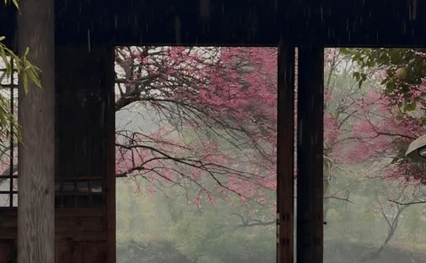 Half-Day Guided Tour of Hangzhou Xixi Wetland Park