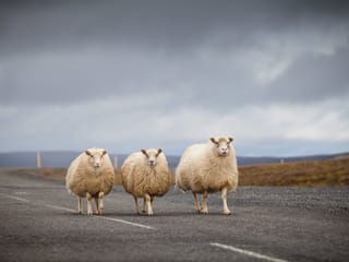 Geysers, Glaciers and Waterfalls - 6-Day Self-Drive, photo 14