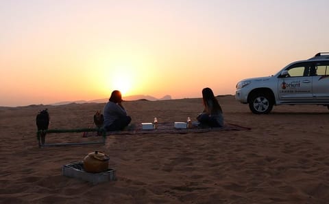 Sunrise Desert Safari and Wildlife Tour in Dubai