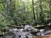 Journey of Sinharaja Rain Forest 2