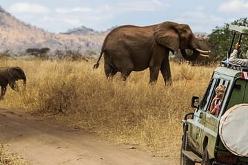 5-Day Safari Tour of Amboseli and Tsavo National Parks