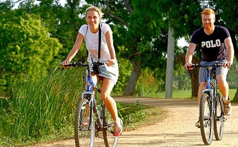 Half-Day Cycling Tour of Rural Yala and Tissamaharama