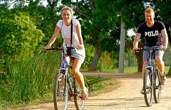 Half Day Village Cycling Tour in Yala: