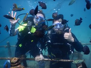 Bali Private Diving Experience in Nusa Dua