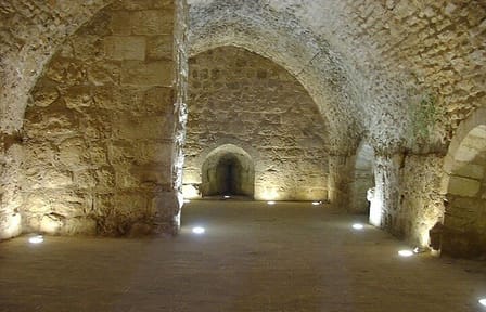 Private North Tour to Jerash, Ajloun, and Umm Qais from Dead Sea