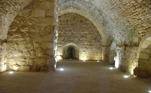 Private Day Tour to Jerash, Ajloun, and Umm Qais from Dead Sea
