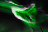 Whales & Auroras 9