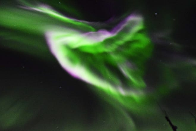 Whales & Auroras 9