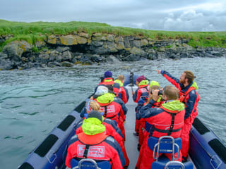 Premium Puffin Tour, photo 8