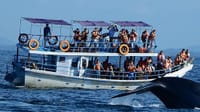 From Bentota: Mirissa Whale Watching Tour 7