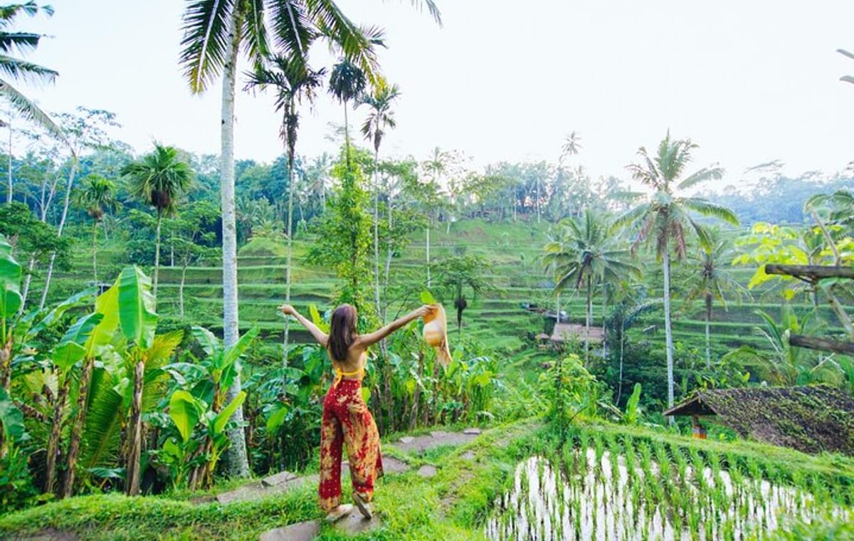 Ubud: Waterfall, Rice Terraces, and Monkey Forest Private Tour