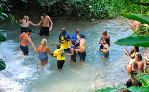 Dunn's River Falls Adventure and Shopping in Ocho Rios