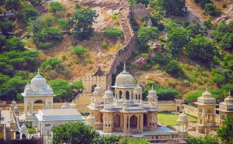 Cultural Tour of Jaipur: Explore the Pink City's Treasures