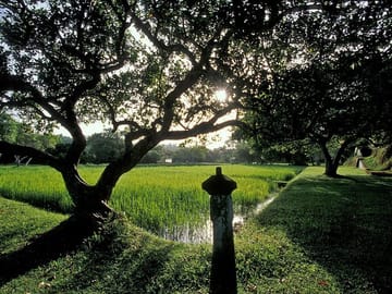 Kalutara Temple and Lunuganga Tour from Bentota