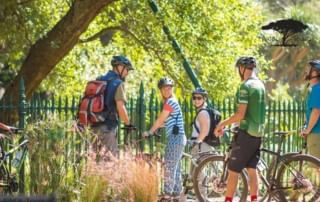 Cyclists riding beneath pear trees in the tranquil Company Gardens.