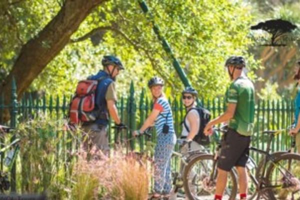 Cyclists riding beneath pear trees in the tranquil Company Gardens.