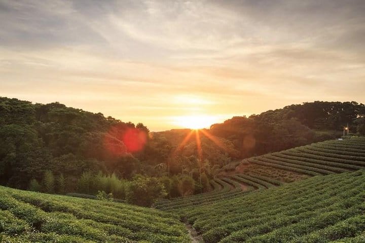A beautiful sunrise in the farm