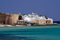 Tour to the Medina of Hammamet and the Spice Market of Nabeul 1