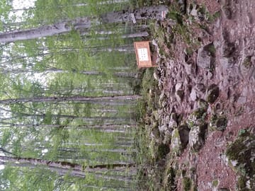 <p>Taking good walking/hiking shoes</p>
