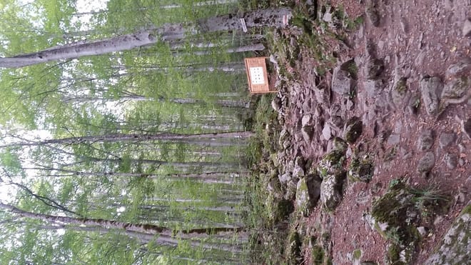 <p>Taking good walking/hiking shoes</p>