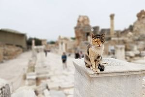 2-Day Small-Group Tour Highlights of Ephesus from Izmir