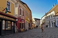 Budapest Danube Bend Private Full-Day Tour with Lunch and Entrance Fees	 7