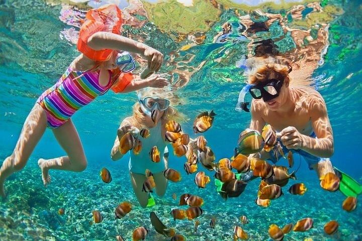 Snorkeling Tour in Punta Cana with Natural Pool and Open Bar