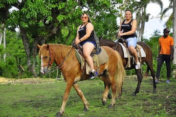Horseback Riding Tour Through the Dominican Jungle