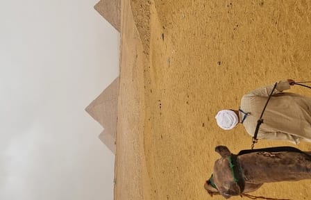 Giza Pyramids and Saqqara Full-Day Private Tour